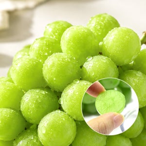 정원의상점 17브릭스 고당도 샤인머스켓 2kg 산지직송