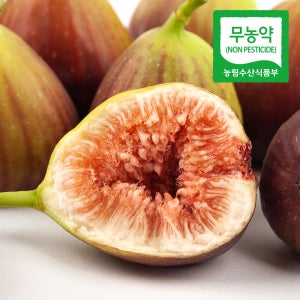 친환경 무농약 무화과 홍무화과 청무화과