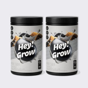 푸드올로지 헤이그로우 대용량 단백질 탈모 쉐이크 보충제 곡물맛, 600g, 2개