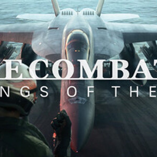 (게임팜 24시 / PC 스팀) 에이스 컴뱃 8 시브의 날개 ACE COMBAT 8 WINGS OF THEVE 모든계정등록 한국코드