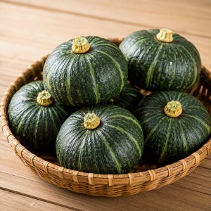 해남 미니 밤호박 후숙 산지직송 공중재배 2kg 4kg 보우짱