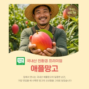 제주 국내산 친환경 애플망고 3kg