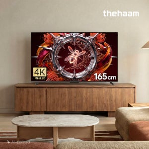 더함 스마트 구글 티비 165cm(65인치), MINILED 288Hz, 직접설치