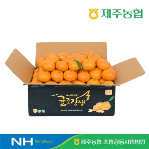 (12brix이상) 국내산 제주 하우스감귤 2.5kg/3kg