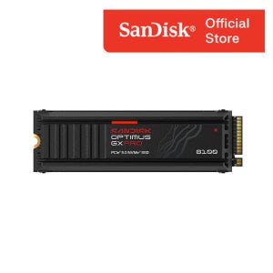 샌디스크 Optimus GX Pro 8100 H.S (히트싱크) SSD 1TB