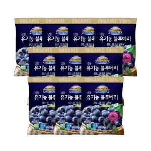 냉동 유기농 블루베리 700g, 10개