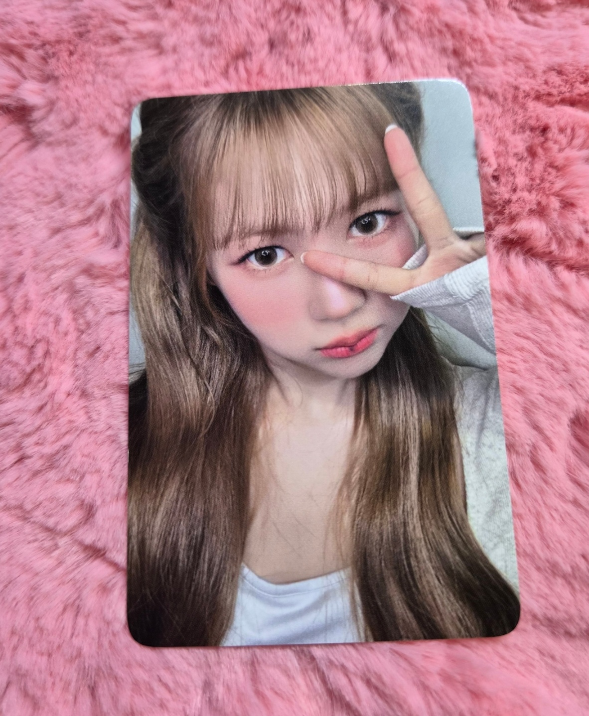 Hearts2Hearts H2H Hearts2Hearts ミニ2集 Lemon tang レモンタン 未恐怖特典 エバーライン予温 フォトカード