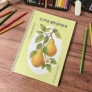싱그러운 열매 컬러링 도안 어르신 시니어 치매예방 과일 색칠공부 어른 성인취미 컬러드로잉