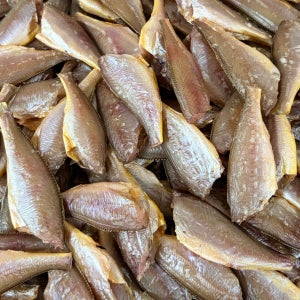 목포 반건조 두절조기 1kg 가정용 바라조기 손질완료 냉풍건조 반건조생선