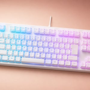 리얼포스 GX1 단청키보드 RGB 토프레 무접점 영문 텐키리스 저소음 45g 30g 화이트