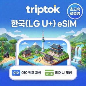 한국 초고속 로컬망 010 번호 티머니 제공 5G LG U+ eSIM 이심 무제한
