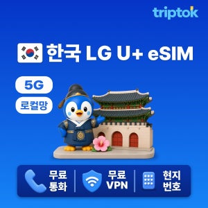 한국 초고속 로컬망 010 번호 티머니 제공 5G LG U+ eSIM 이심 무제한