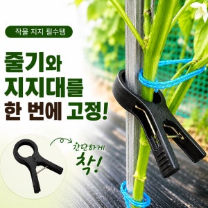 유인집게 고추집게 식물고정클립 오이 토마토 작물집게 100P