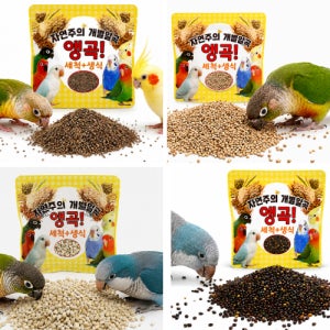 앵곡 8종 자연주의 세척+생식 개별 알곡 앵무새 먹이 모이 간식 잉꼬 왕관 모란 코뉴어 퀘이커
