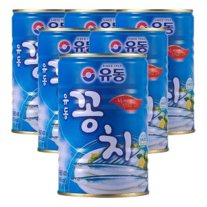 유동 꽁치 통조림 400g, 6개