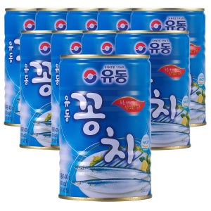 유동 꽁치 통조림 400g, 10개