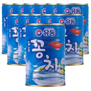 유동 꽁치 통조림 400g, 12개