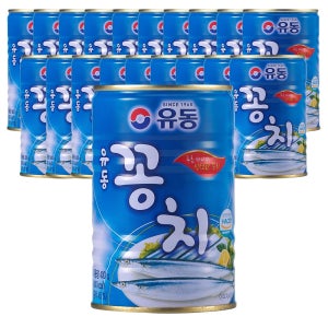 유동 꽁치 통조림 400g, 20개