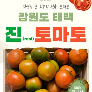 (셀러리 드림) 진농장 버릴 게 없는 속 알찬 태백 동양종 찰토마토 3kg, 5kg