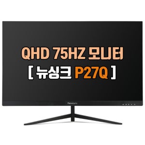 비트엠 P27Q IPS 플렉스 HDR 68cm 27인치 QHD 고해상도 75HZ 중고모니터