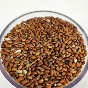영희네 홍미 5kg 빨간 붉은 쌀 1kg 2kg 3kg 10kg 영천 농가직송