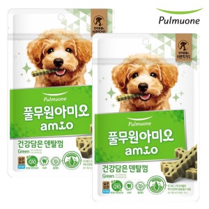 풀무원 아미오 건강담은 덴탈껌 그린, 100g, 2개