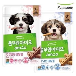 1+1 풀무원 아미오 건강담은 치석제거 덴탈껌 레드 오리지널 100g