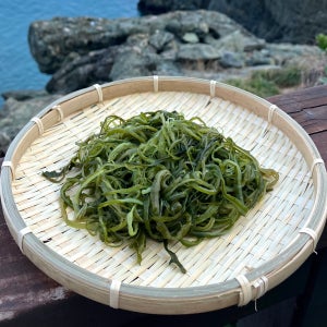 완도산 염장 미역줄기 10kg 원산지 국산 전라남도 완도