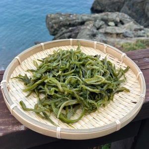 완도산 염장 절단미역줄기 10kg 원산지 국산 전라남도 완도
