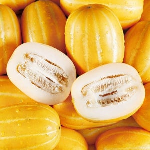 s성주 꿀 참외 상등급 아삭 달콤 고당도 선별 소과, 1kg, 1개