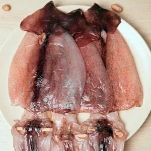 반건 오징어 구룡포 말린 피데기 반건조 오징어 말랑 피대기 10미