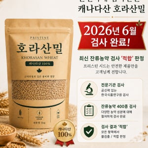 캐나다 통곡물 카무트 호라산밀 단백질 쌀