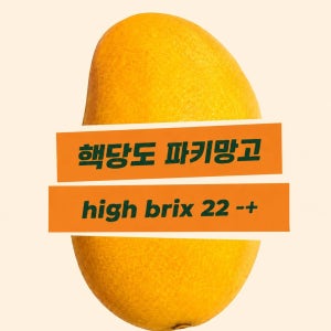 [당도보장] 파키스탄 설탕 망고 & 골드망고