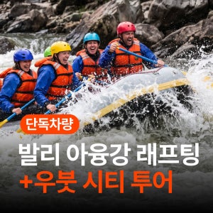 히위고 발리 아융강 래프팅 + 우붓 투어 단독 프라이빗 액티비티