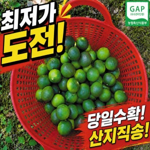 제주청귤 풋귤 산지직송 당일수확 꼼꼼한선별 10kg, 1개