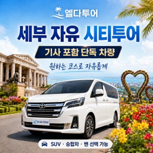 세부 시티투어 기사 포함 단독 차량 가족 자유투어 프라이빗 공항·숙소 픽업