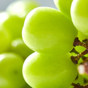 [산지직송] 당도보장 프리미엄 샤인머스켓 3kg, 1개