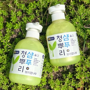 율고 청뿌리 보리밥나무 탈모완화 모근집중케어 샴푸 500ml, 1개