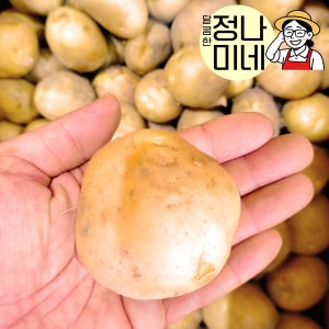 [정나미네] 수미감자 햇감자 특, 10kg, 1개