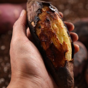 해남 햇고구마 햇호박고구마 중상10kg 호풍미 산지직송