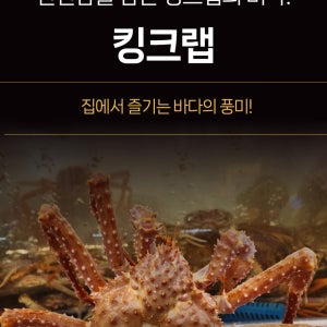 대게특별시 러시아 킹크랩 브라운 레드 블루