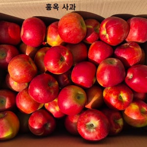 루비에스 골든볼 홍로 미니부사 시나노골드 홍옥 부사 엔비 고품질 경북 영천 사과 고당도