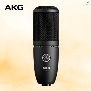 AKG P120 고음질 콘덴서마이크 홈레코딩 녹음용 보컬 녹음실 유튜버 틱톡방송 마이크