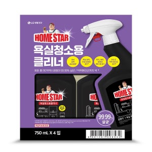 홈스타 욕실용 클리너 750ml x 4개 코스트코 화장실 변기 세면대 욕실바닥 청소세제