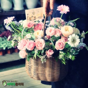 다산동 개업화분 꽃다발 꽃바구니 난 생일 축하 개업 전국꽃배달서비스