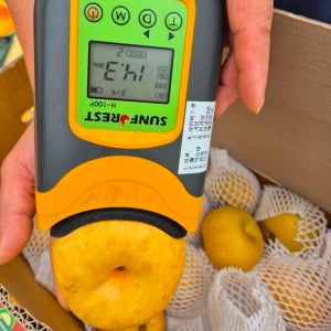 진주 문산배 행수 진주배 특품 15kg 40과 내외