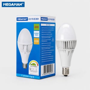 메가맨 미사일 벌브 LED (1등급) MEGA M2 E39 KS 40W, 주광색