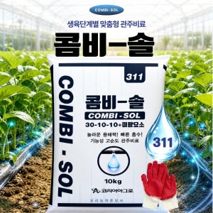 콤비솔 10kg 311 생육초기용 뿌리발달 생육촉진 코리아아그로 우리농약종묘사