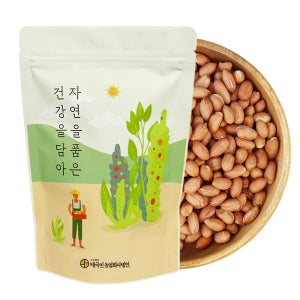 신선한 생땅콩 1kg 알 굵은 고소한 생알땅콩 견과류 간식