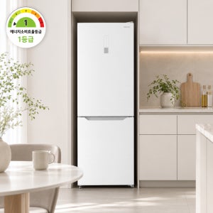 캐리어 2도어 1등급 냉장고 302L 화이트 KRNC302WEI3